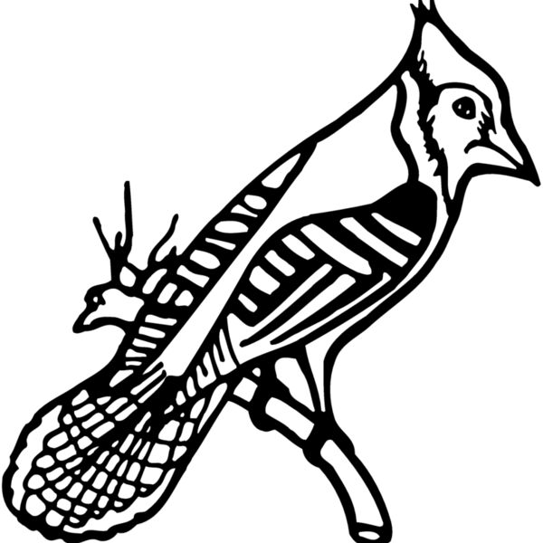 BIRD010 BIRD010 Thumbnail