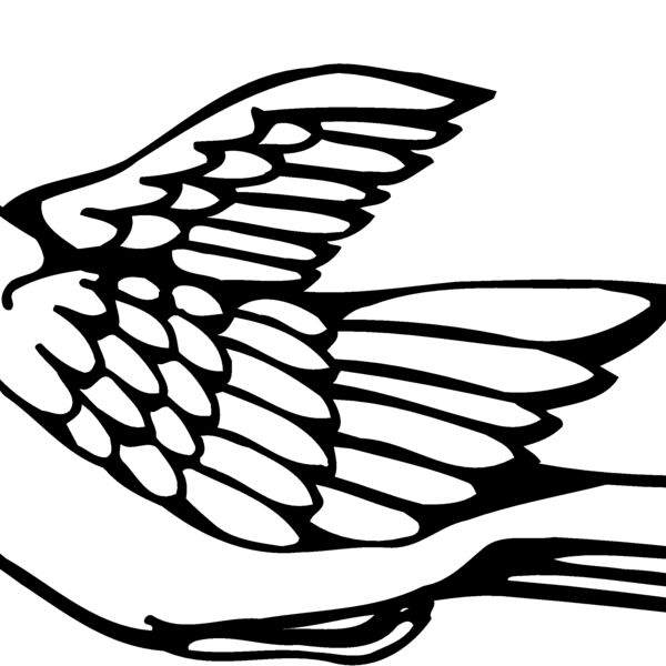 BIRD012 BIRD012 Thumbnail