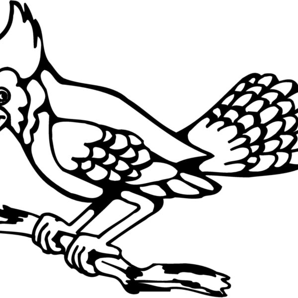 BIRD035 BIRD035 Thumbnail