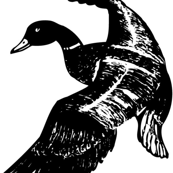 BIRD081 BIRD081 Thumbnail