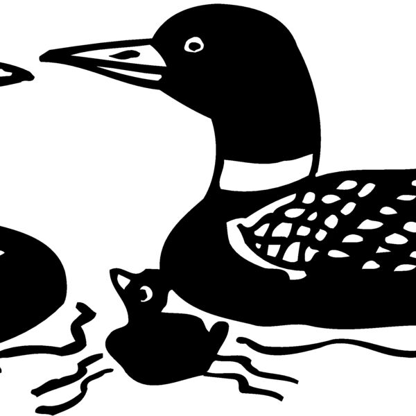 BIRD085 BIRD085 Thumbnail