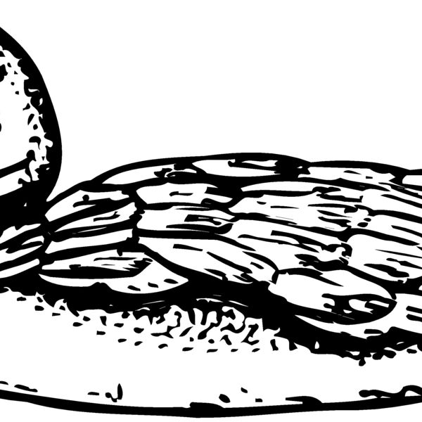 BIRD093 BIRD093 Thumbnail