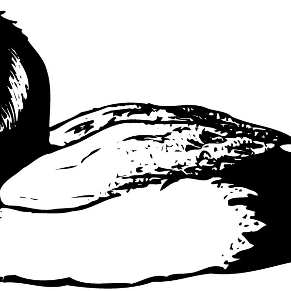 BIRD103 BIRD103 Thumbnail