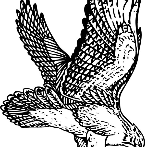 EAGLE026 EAGLE026 Thumbnail