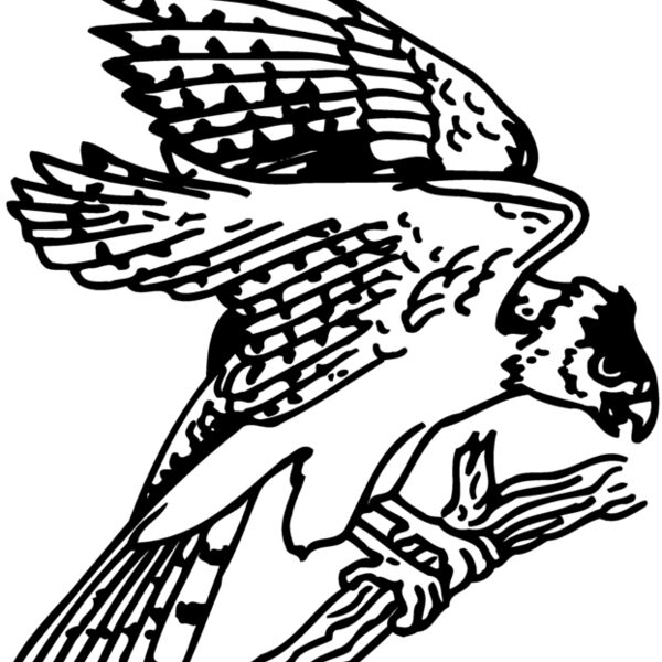 EAGLE027 EAGLE027 Thumbnail