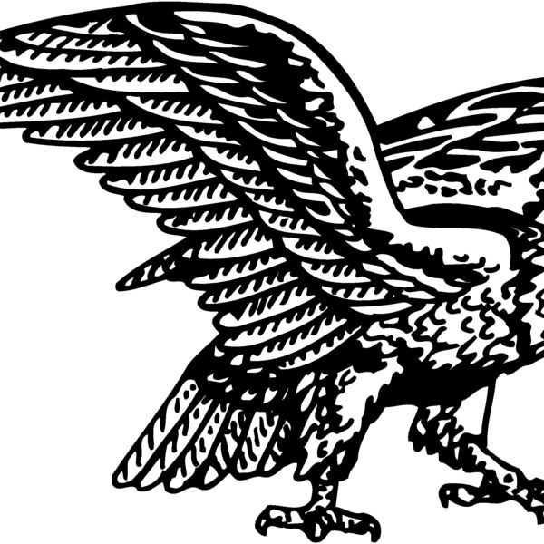 EAGLE028 EAGLE028 Thumbnail