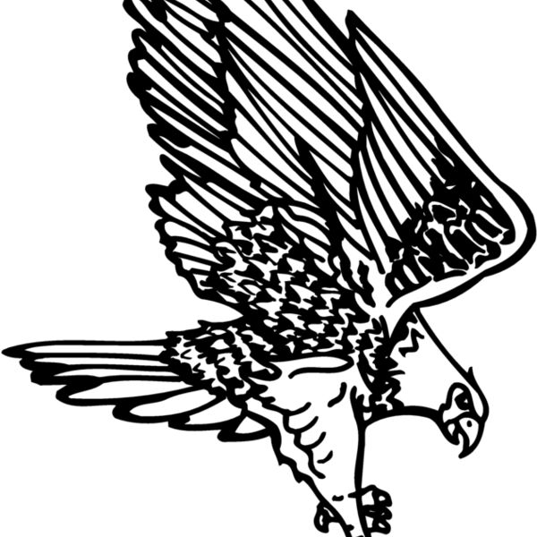 EAGLE030 EAGLE030 Thumbnail